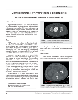 Giant Bladder Stone: a Very Rare Finding in Clinical Practice