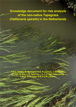 Vallisneria Spiralis) in the Netherlands