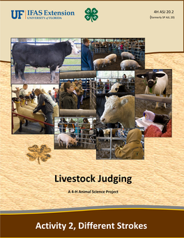 Livestock Judging