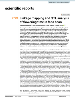 Linkage Mapping and QTL Analysis of Flowering Time in Faba Bean