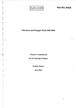 Murimotu and Rangipo-Waiu 1860-2000 Scoping Report