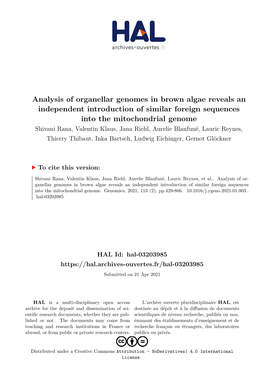 Analysis of Organellar Genomes in Brown Algae Reveals An