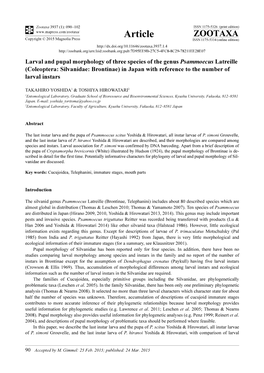 Coleoptera: Silvanidae: Brontinae) in Japan with Reference to the Number of Larval Instars