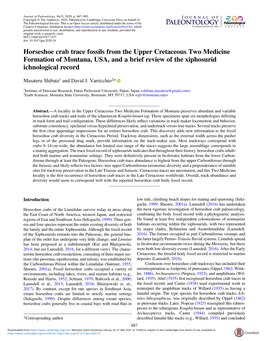 Horseshoe Crab Trace Fossils from the Upper Cretaceous Two Medicine Formation of Montana, USA, and a Brief Review of the Xiphosurid Ichnological Record