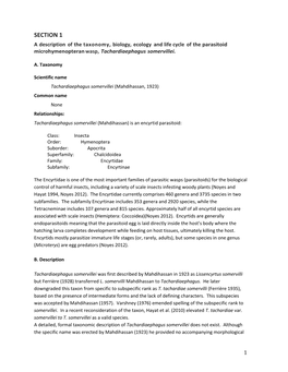 SECTION 1 a Description of the Taxonomy, Biology, Ecology and Life Cycle of the Parasitoid Microhymenopteran Wasp, Tachardiaephagus Somervillei