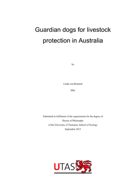 Guardian Dogs for Livestock and Protection in Australia