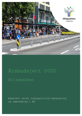 Årsbudsjett 2020