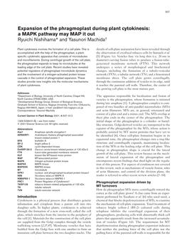 Expansion of the Phragmoplast During Plant Cytokinesis: a MAPK Pathway May MAP It out Ryuichi Nishihama* and Yasunori Machida†