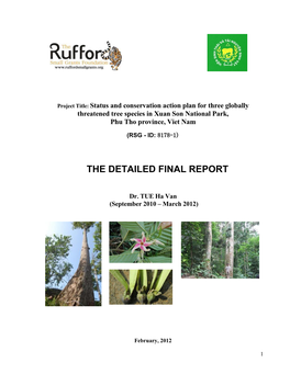 The Detailed Final Report