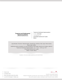 Redalyc.MORPHOLOGICAL DIVERSITY of NATIVE MAIZE IN