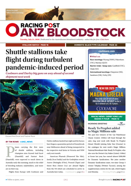 Shuttle Stallions Take Flight During Turbulent Pandemic-Induced Period | 2 | Tuesday, July 21, 2020