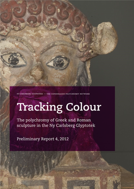 Preliminary Report 4, 2012 — the Copenhagen Polychromy Network Tracking Colour