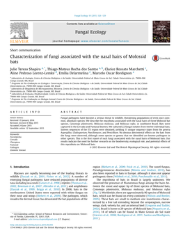 Characterization of Fungi Associated with the Nasal Hairs of Molossid Bats