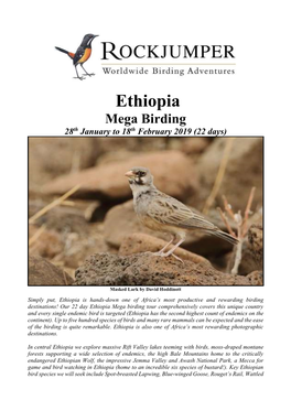 Ethiopia Mega Birding 28Th January to 18Th February 2019 (22 Days)