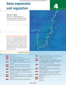 Gene Expression and Regulation 4