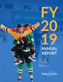 Annual Report FY19 V17