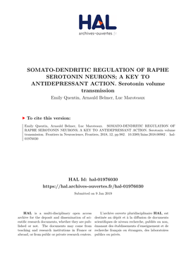 Somato-Dendritic Regulation of Raphe Serotonin Neurons; a Key to Antidepressant Action