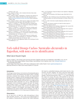 Fork-Tailed Drongo Cuckoo Surniculus Dicruroides in Rajasthan, with Notes on Its Identification