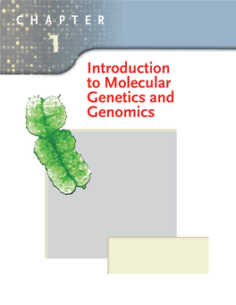 Introduction to Molecular Genetics and Genomics CHAPTER OUTLINE PRINCIPLES 1.1 DNA: the Genetic Material • Inherited Traits Are Affected by Genes