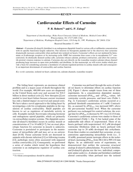 Cardiovascular Effects of Carnosine