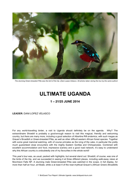 Ultimate Uganda