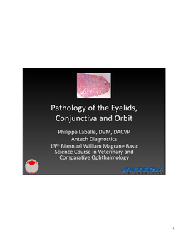 Pathology of the Eyelids, Conjunctiva and Orbit