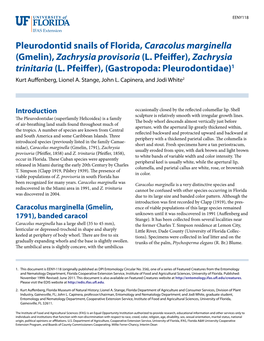 Pleurodontid Snails of Florida, Caracolus Marginella (Gmelin), Zachrysia Provisoria (L