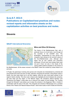 Q.Ne.S.T. DC2.5 Publications on Capitalized Best Practices And
