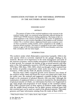 Kato, H. Ossification Pattern of the Vertebral Epiphyses in the Southern