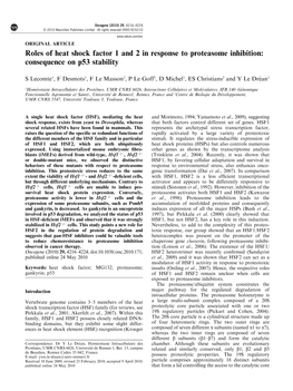 Roles of Heat Shock Factor 1 and 2 in Response to Proteasome Inhibition: Consequence on P53 Stability