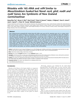 Mesorhizobium Huakuii but Novel Reca, Glnii, Noda and Carmichaelinae