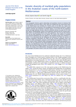 Genetic Diversity of Marbled Goby Populations in the Anatolian Coasts of the North-Eastern Mediterranean