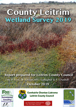 Wetland Surveys Ireland 2019 ______Authors: Foss, P.J., Kirwan, B., Gallagher, M.C