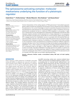 The Spliceosome-Activating Complex: Molecular Mechanisms Underlying the Function of a Pleiotropic Regulator