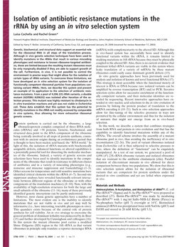 Isolation of Antibiotic Resistance Mutations in the Rrna by Using an in Vitro Selection System