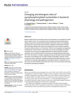 Emerging and Divergent Roles of Pyrophosphorylated Nucleotides in Bacterial Physiology and Pathogenesis