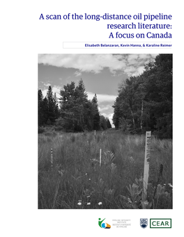 A Scan of the Long-Distance Oil Pipeline Research Literature: a Focus on Canada