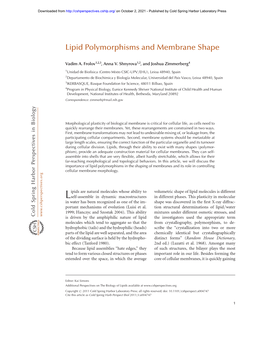 Lipid Polymorphisms and Membrane Shape