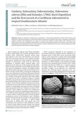 Cnidaria, Scleractinia, Siderastreidae, Siderastrea Siderea (Ellis and Solander, 1786): Hartt Expedition Istributio D Tropical Southwestern Atlantic Raphic G