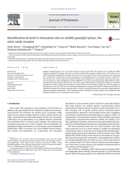 Identification of Novel S-Nitrosation Sites in Soluble Guanylyl Cyclase