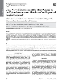 Ulnar Nerve Compression at the Elbow Caused by the Epitrochleoanconeus Muscle