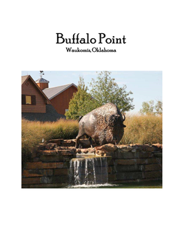 The Story of Buffalo Point