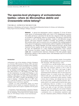 The Species-Level Phylogeny of Archostematan Beetles—Where Do Micromalthus Debilis and Crowsoniella Relicta Belong?