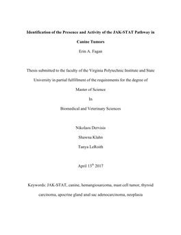 Identification of the Presence and Activity of the JAK-STAT Pathway In