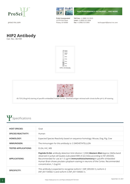HIP2 Antibody Cat