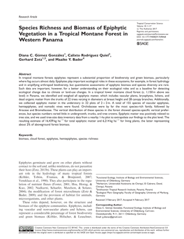 Species Richness and Biomass of Epiphytic Vegetation in a Tropical