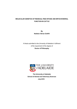 Molecular Genetics of Residual Feed Intake and Mitochondrial Function in Cattle