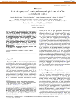 Role of Aquaporin-7 in the Pathophysiological Control of Fat Accumulation in Mice