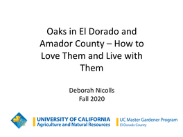 Oaks in El Dorado and Amador County – How to Love Them and Live with Them