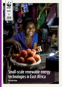 Small-Scale Renewable Energy Technologies in East Africa